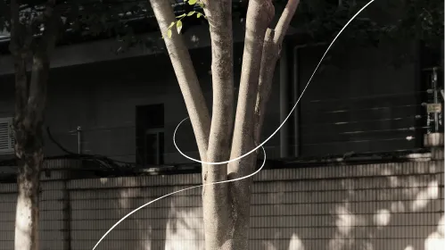 TREE BATON（伐採木活用プラン）